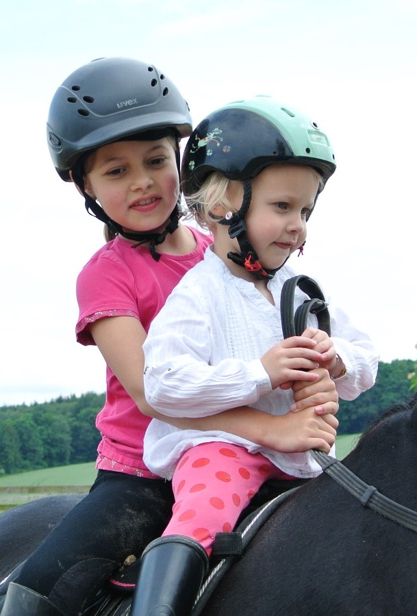 “Pony To Go” startet